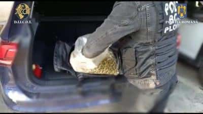 VIDEO. Trei persoane prinse în timp ce încercau să comercializeze un kilogram de canabis 